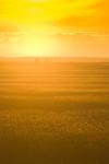 _IMG4145 copy.jpg